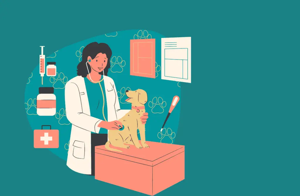 When to Contact a Veterinary Doctor 