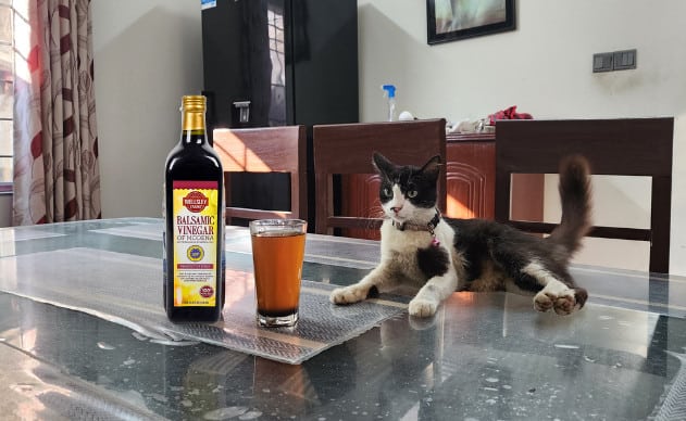 Can Cats Have Balsamic Vinegar